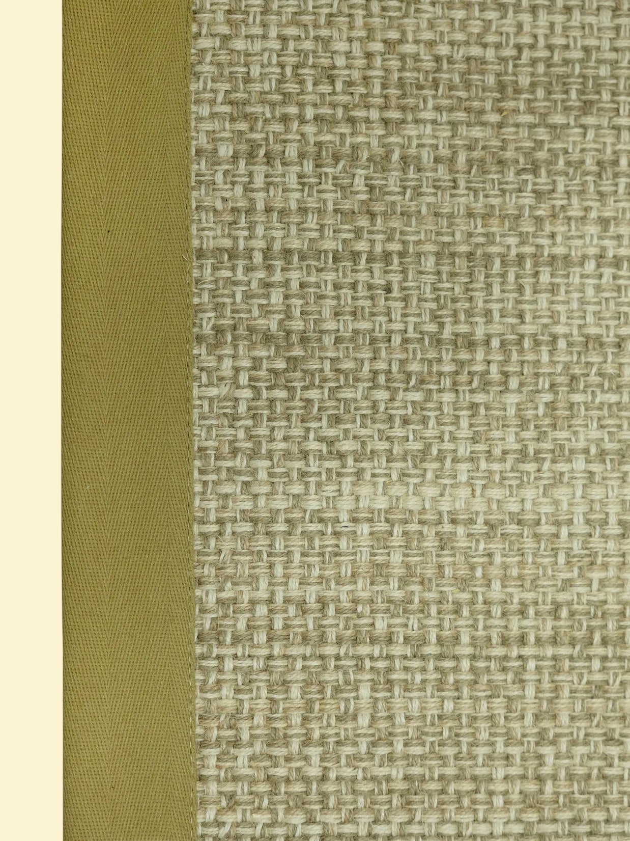 Textured Jute rug with a green border